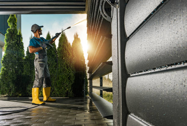 Best Roof Power Washing Services  in Coal City, IL